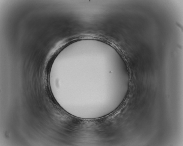 X0000096720343200802051105