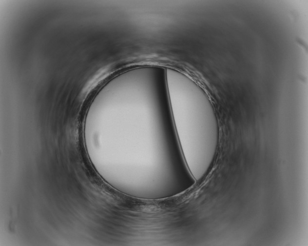 X0000096720344200802051105