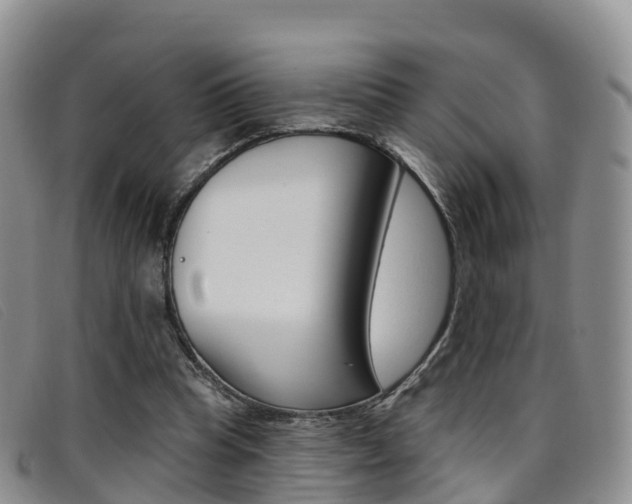 X0000096720345200802051105