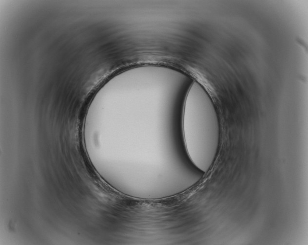 X0000096720346200802051105