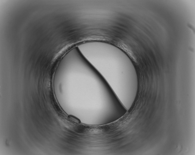 X0000096720348200802051105