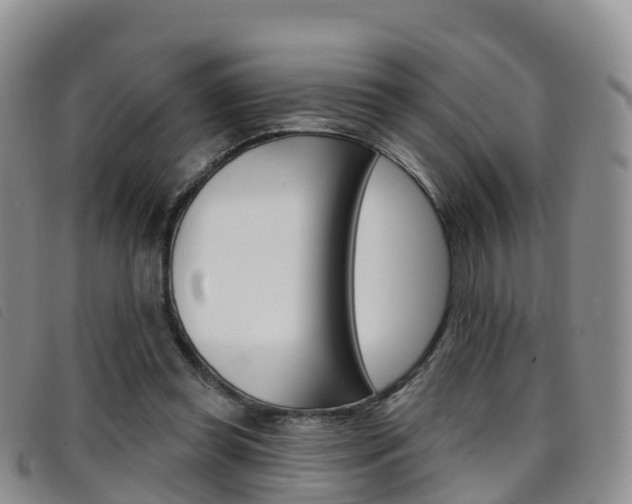X0000096720349200802051105