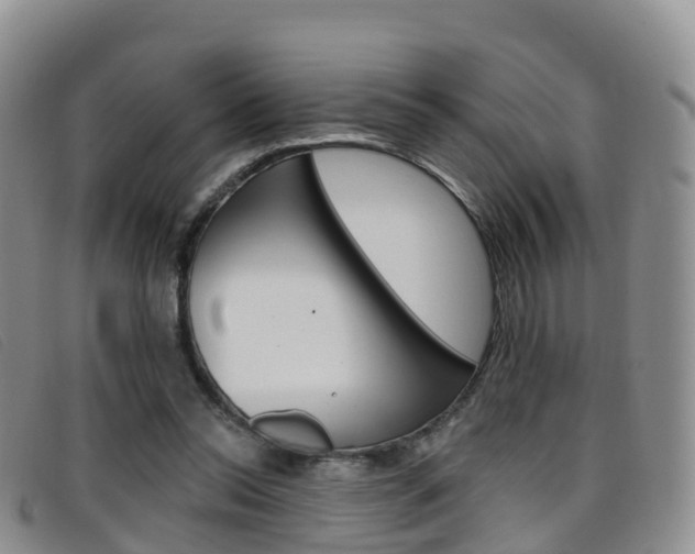 X0000096720350200802051105