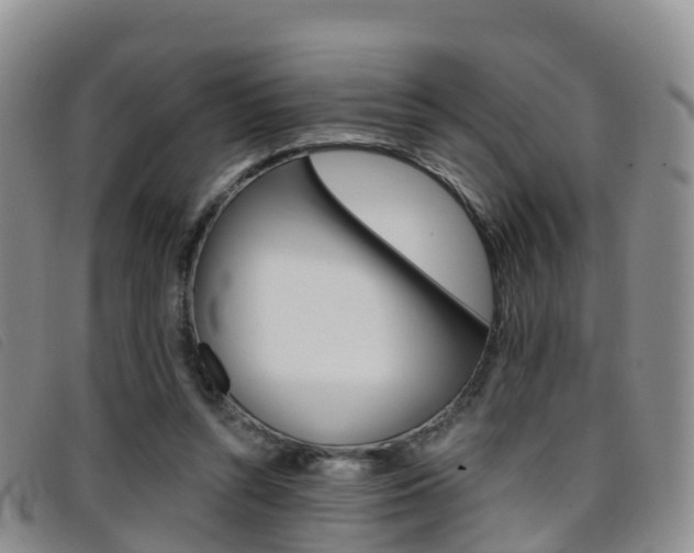 X0000096720352200802051105