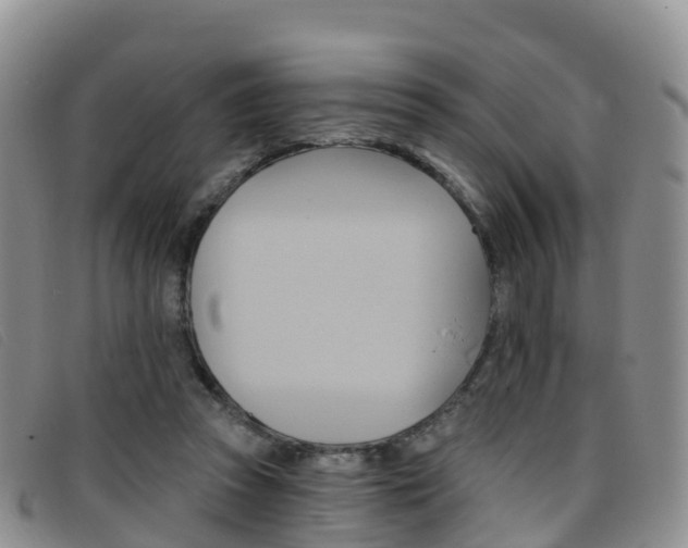 X0000096720353200802051105