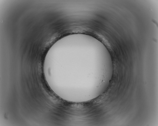 X0000096720354200802051105