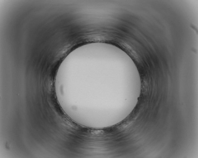 X0000096720355200802051105