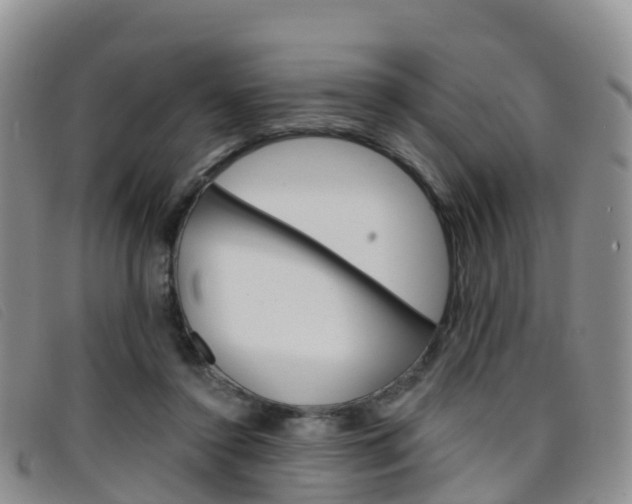 X0000096720356200802051105