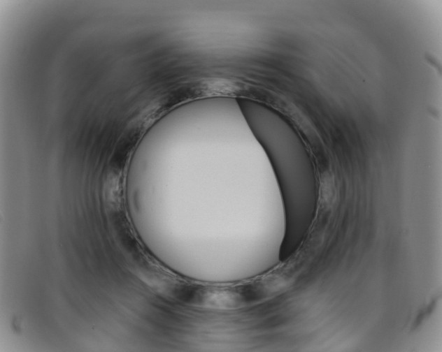 X0000096720360200802051105