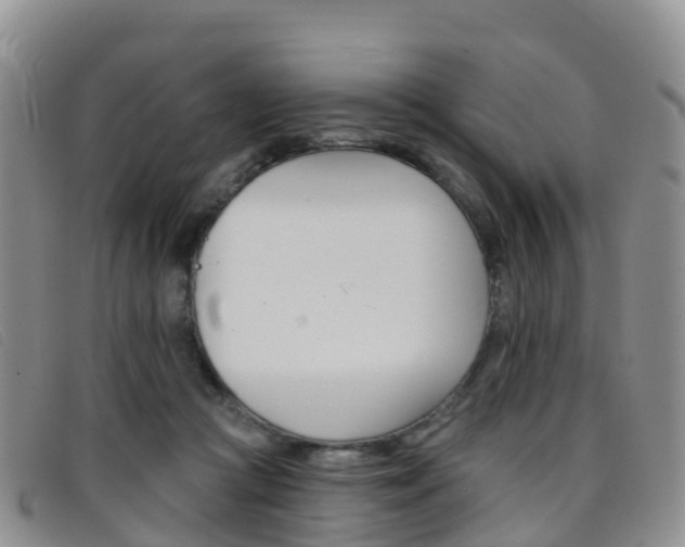 X0000096720361200802051105