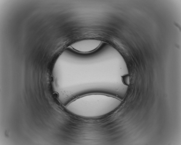 X0000096720362200802051105