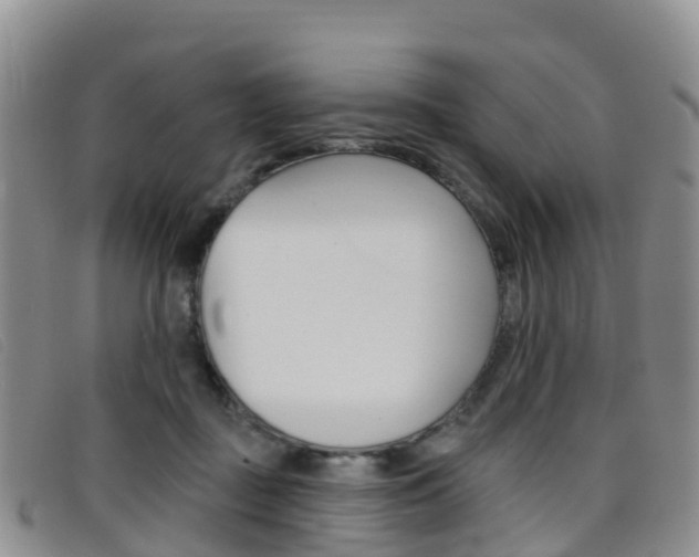 X0000096720363200802051105