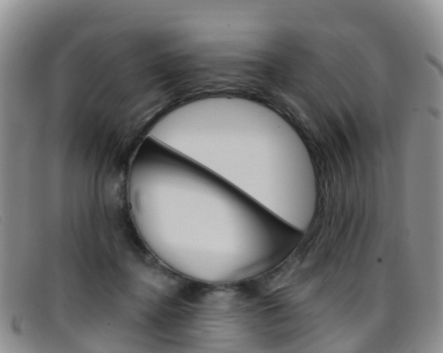 X0000096720364200802051105