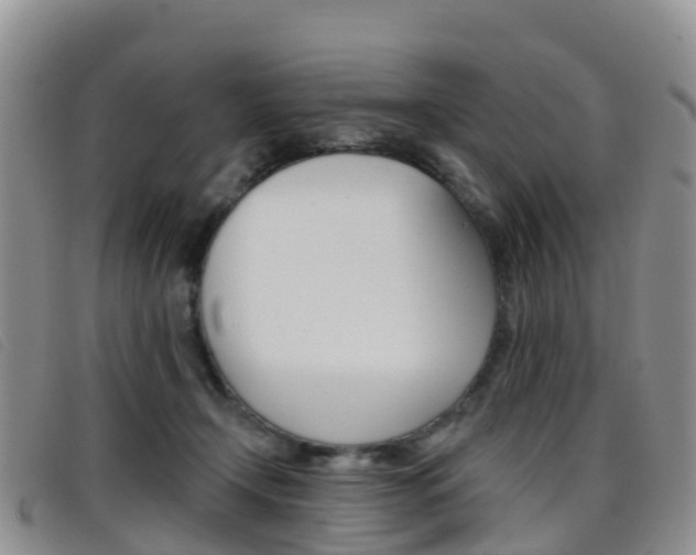 X0000096720366200802051105