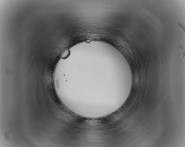X0000096720367200802051105