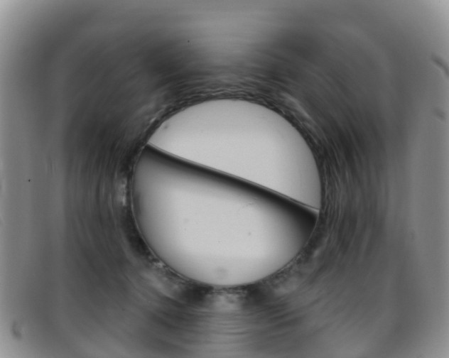 X0000096720368200802051105