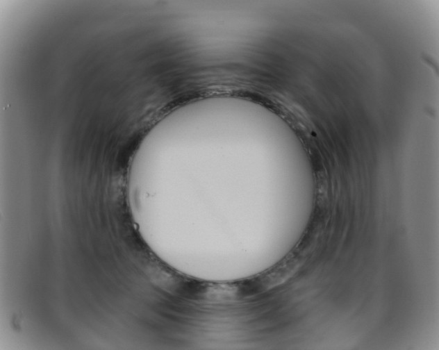 X0000096720369200802051105