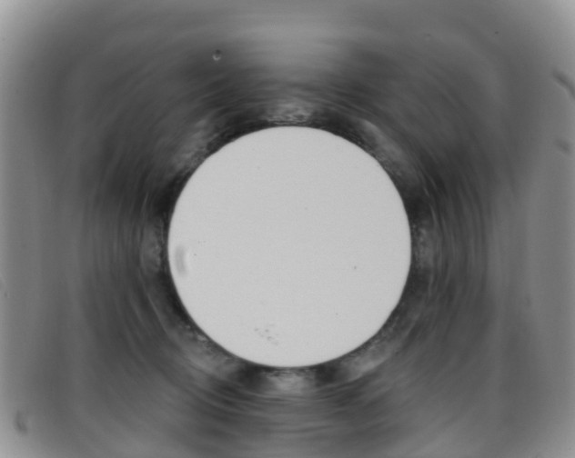 X0000096720370200802051105