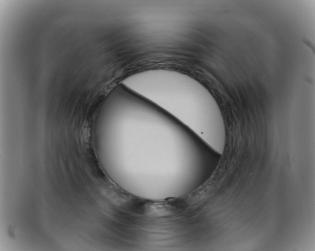 X0000096720372200802051105