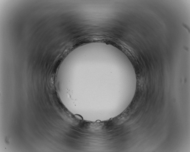 X0000096720373200802051105