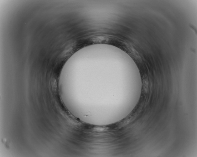 X0000096720375200802051105