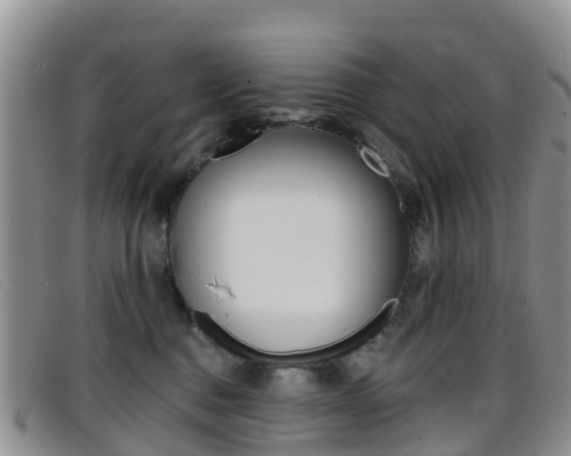 X0000096720376200802051105