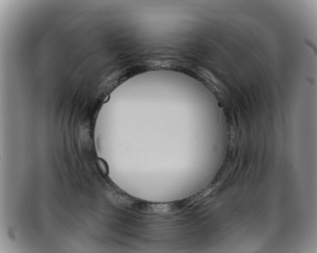 X0000096720377200802051105
