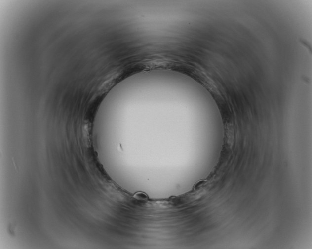 X0000096720378200802051105