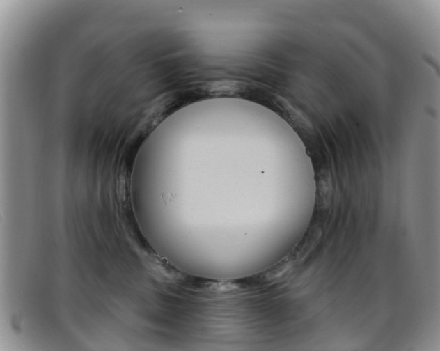 X0000096720379200802051105