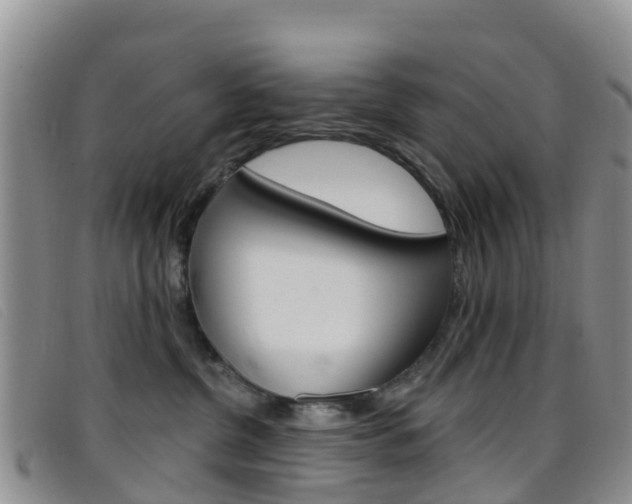 X0000096720380200802051105