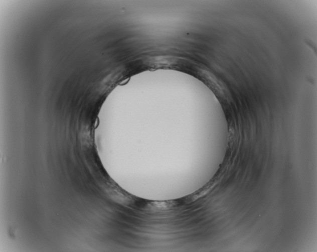 X0000096720381200802051105
