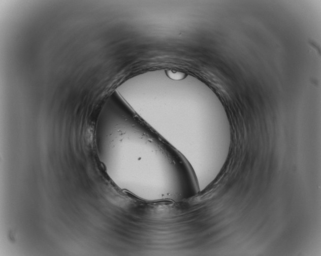 X0000096720382200802051105