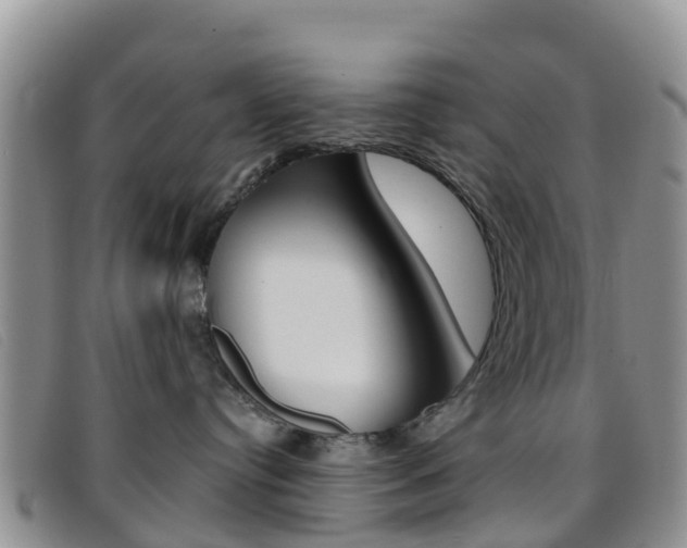 X0000096720384200802051105