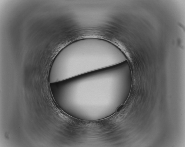 X0000096720385200802051105