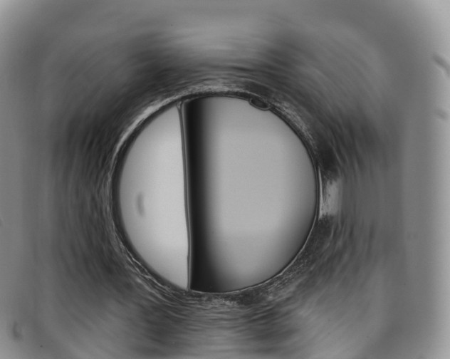 X0000096720387200802051105