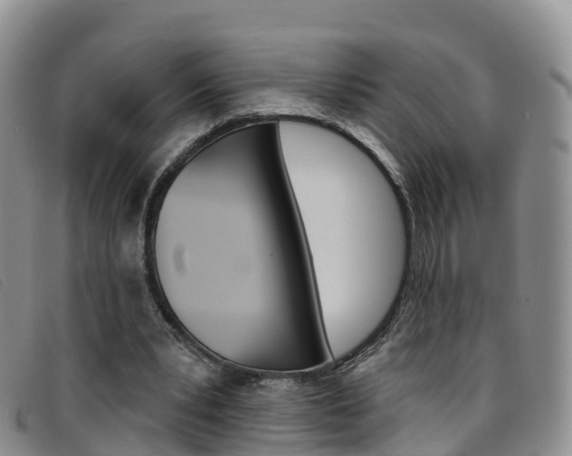 X0000096720391200802051104