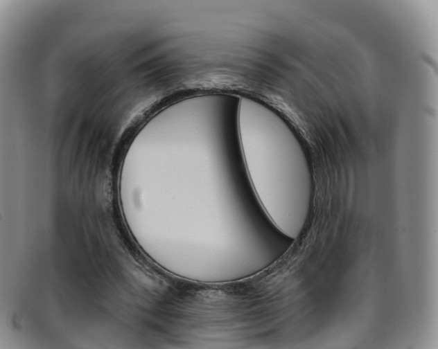 X0000096720392200802051104