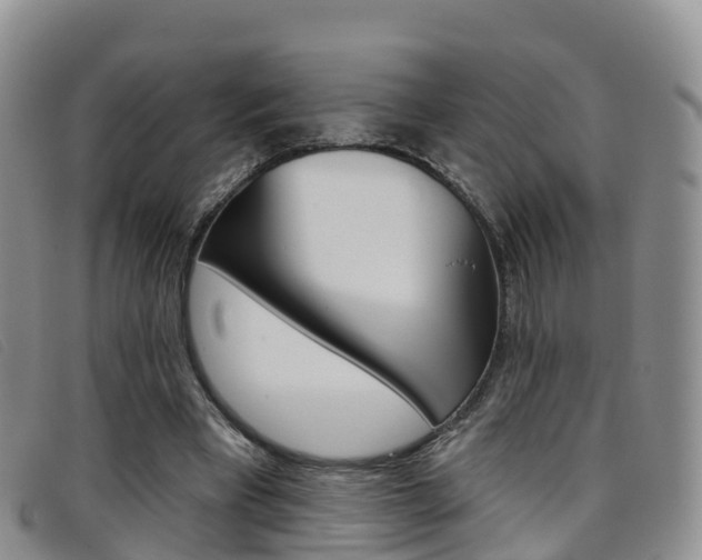 X0000096720393200802051104