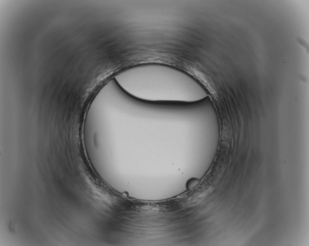 X0000096720394200802051104