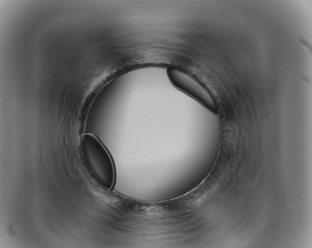 X0000096720395200802051104