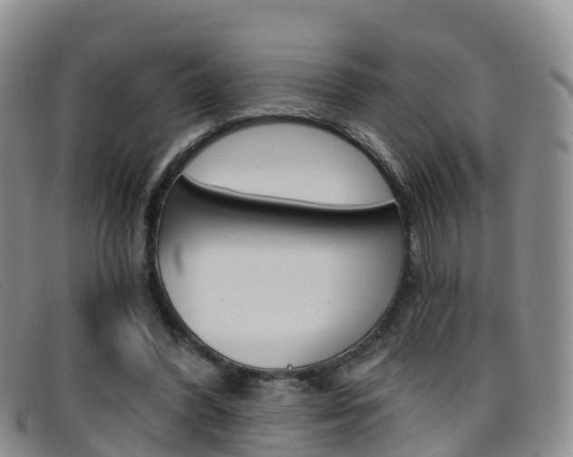 X0000096720396200802051104