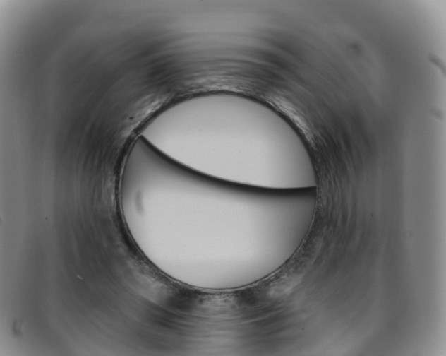 X0000096720398200802051104