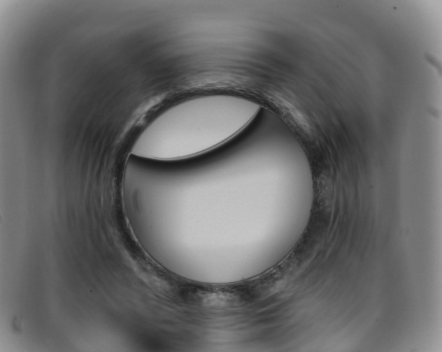 X0000096720400200802051104