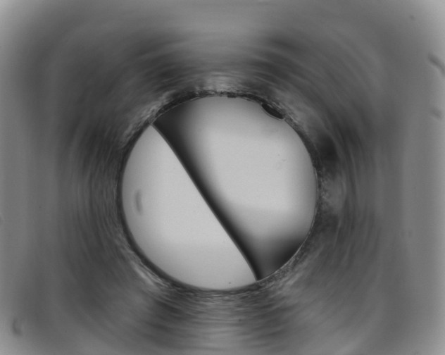 X0000096720401200802051104