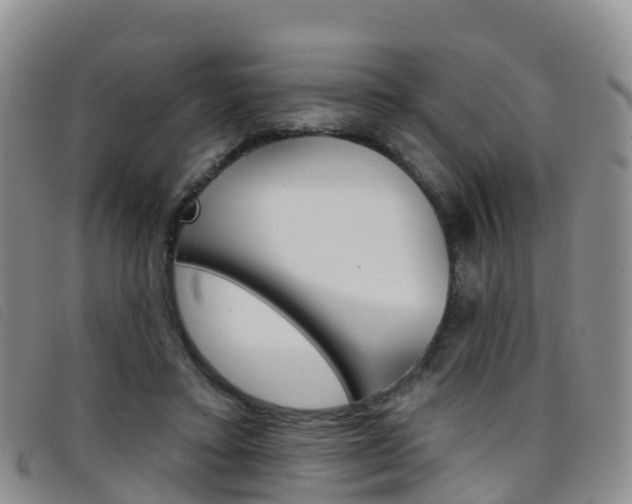 X0000096720403200802051104