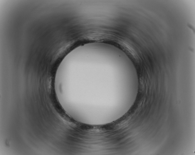 X0000096720404200802051104