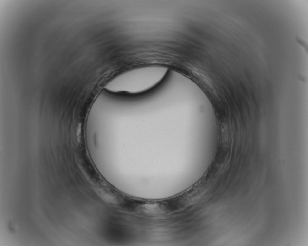X0000096720406200802051104