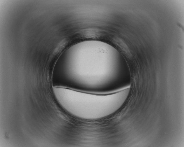 X0000096720407200802051104