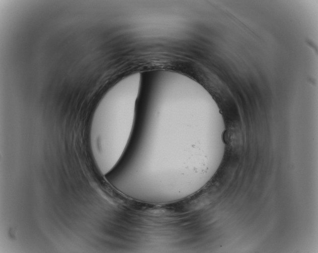 X0000096720408200802051104