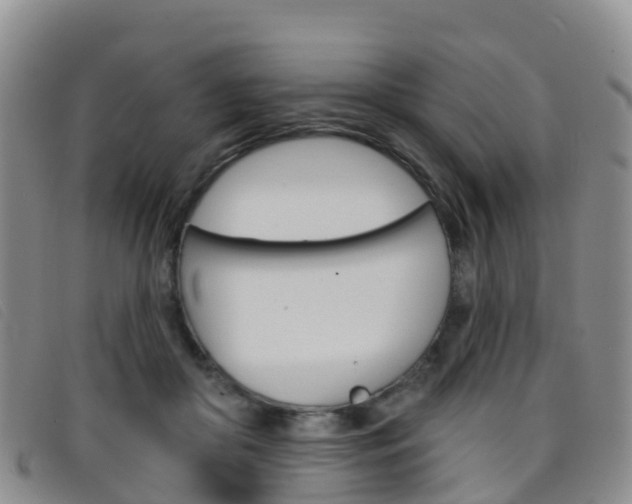 X0000096720410200802051104